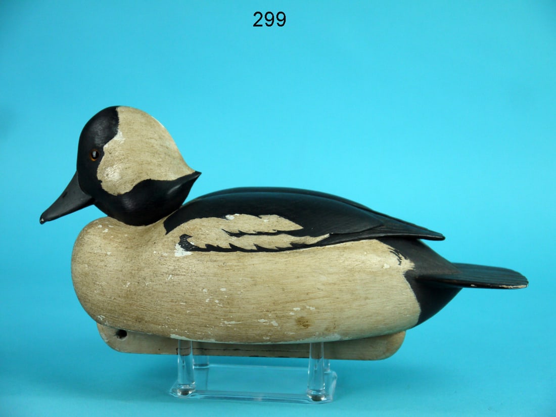 BUFFLEHEAD DRAKE, R. LIBENSPERGER (1 of 4)