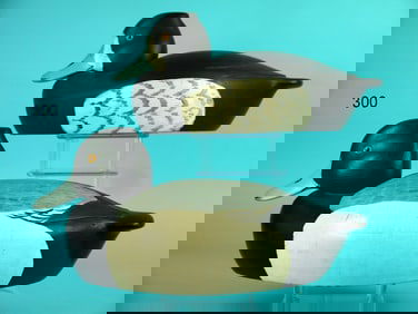 BLUEBILL PAIR, R. LIBENSPERGER