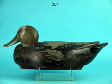 BLACK DUCK, R. LIBENSPERGER