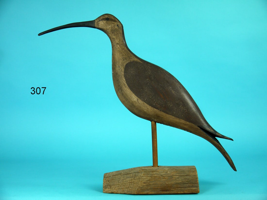 CURLEW, B. BIEBER (1 of 3)