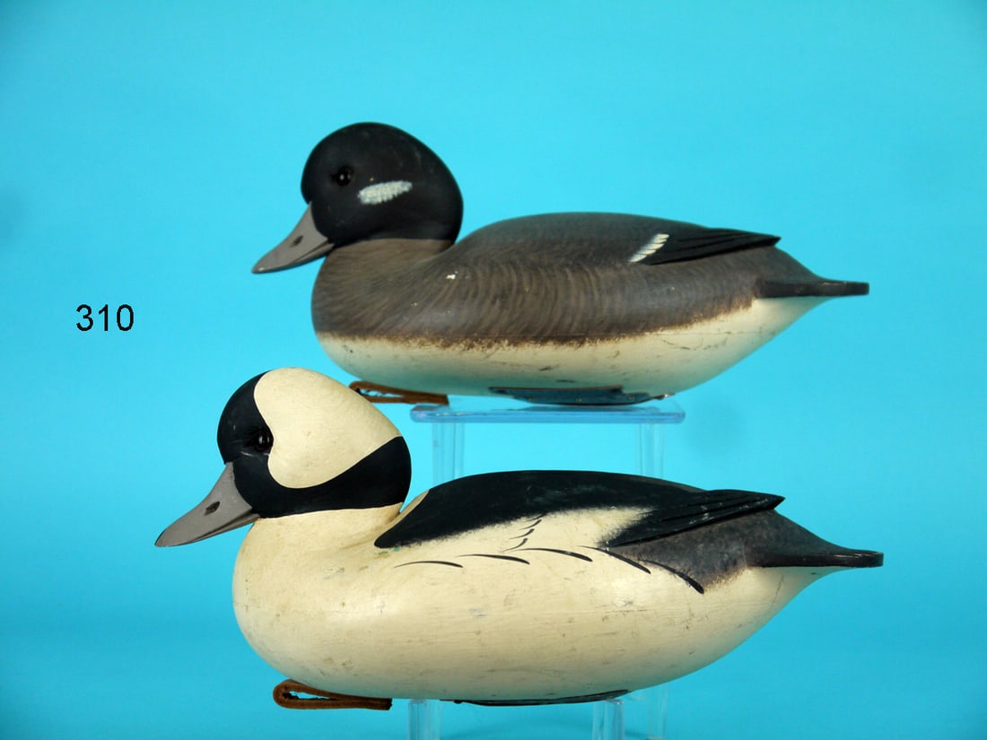 BUFFLEHEAD PAIR, F.C. BROWN, JR. (1 of 4)