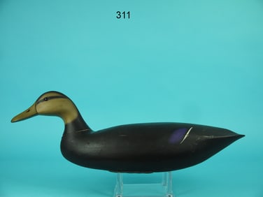 BLACK DUCK, F.C. BROWN, JR.