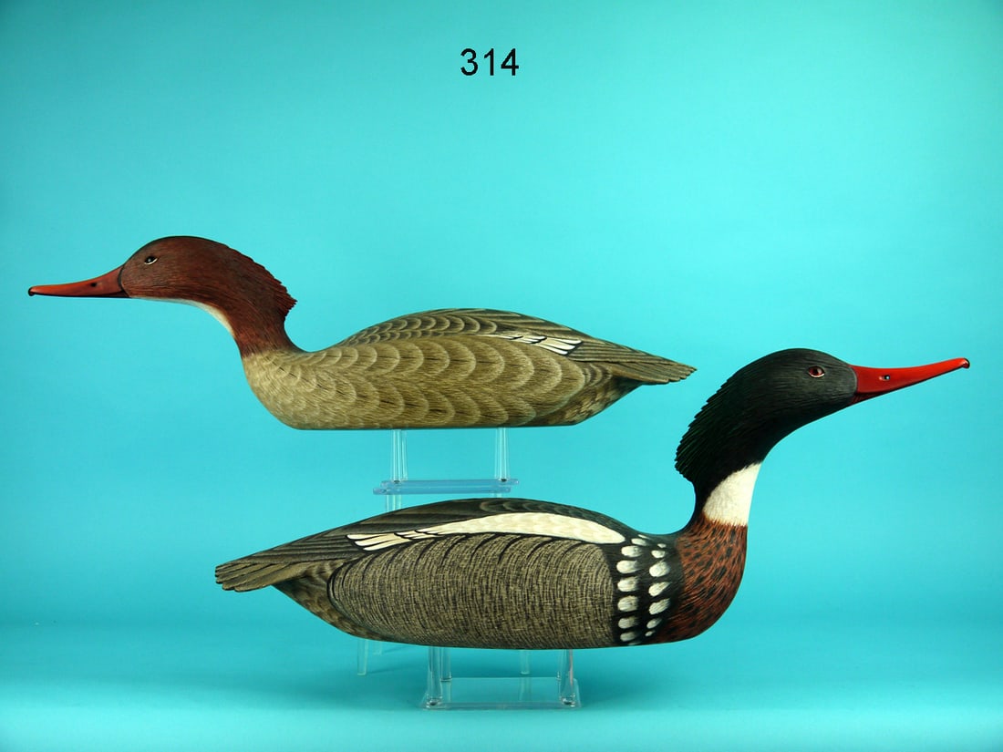 RED-BREASTED MERGANSER PAIR,  A. CARNEY (1 of 4)