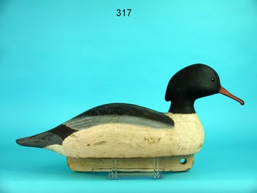 AMERICAN MERGANSER DRAKE, V. GIANNETTO