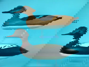 RED-BREASTED MERGANSER PAIR, E. HENDRICKS