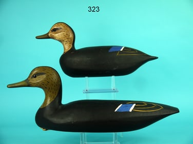 TWO BLACK DUCKS, E. HENDRICKS
