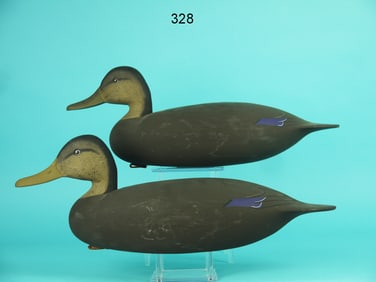 BLACK DUCK PAIR, R. RUTTER