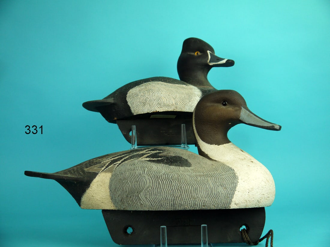 PINTAIL DRAKE, RINGBILL DRAKE, M. SMYSER (1 of 4)