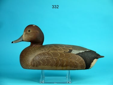 REDHEAD HEN, J.C. SPRAGUE