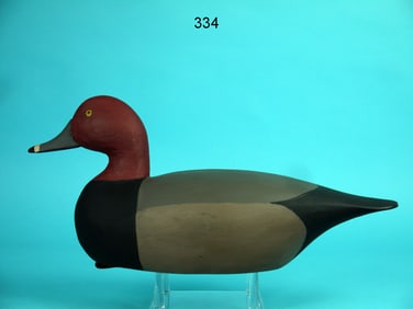 REDHEAD DRAKE, NEW JERSEY