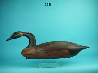 CANADA GOOSE SWIMMER, S.R. White