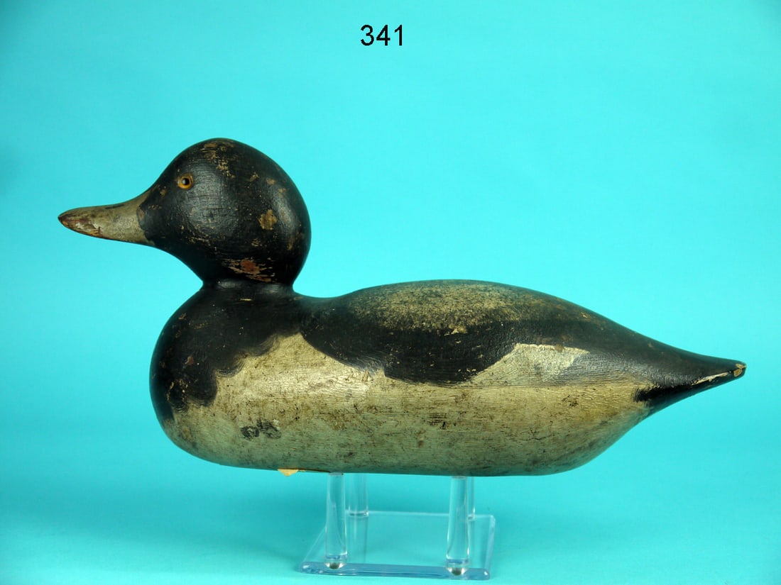 BLUEBILL DRAKE, MASON (1 of 4)