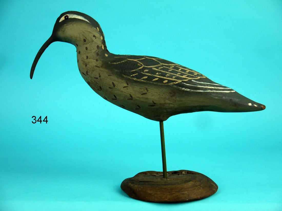 CURLEW, HERTER'S (1 of 4)