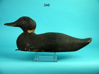 FACTORY BLACK DUCK, W KUHN RIG