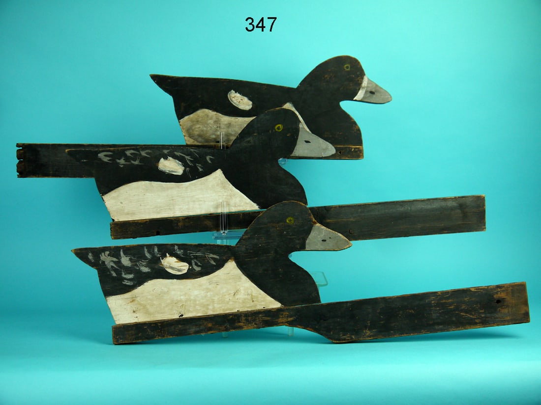 V-BOARD BLUEBILLS, J.W. REYNOLDS (1 of 1)