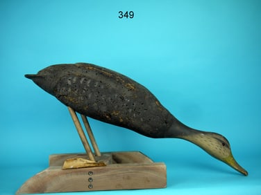 FIELD BLACK DUCK, L.L. BEAN