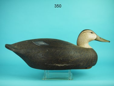 OVERSIZED BLACK DUCK, CORK