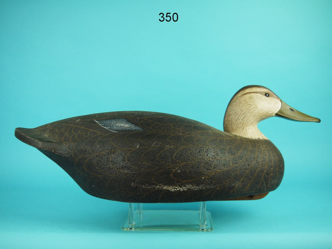OVERSIZED BLACK DUCK, CORK (1 of 4)
