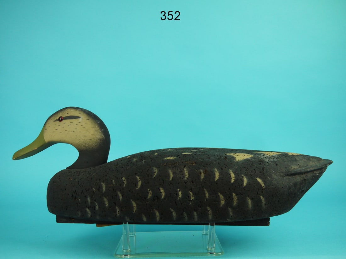 BLACK DUCK, L.L.  BEAN (1 of 4)