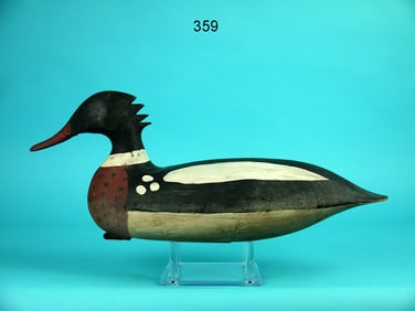 RED-BREASTED MERGANSER DRAKE, NEW JERSEY