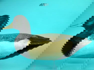 BLUEBILL DRAKE, NEW JERSEY