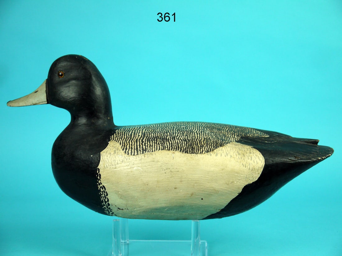 BLUEBILL DRAKE, NEW JERSEY (1 of 4)