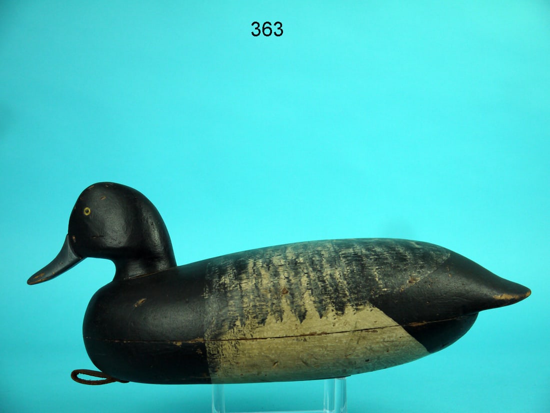 BLUEBILL DRAKE, NEW JERSEY (1 of 4)