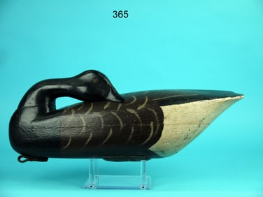 PREENING BRANT, BARNEGAT BAY