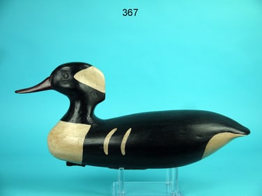 HOODED MERGANSER DRAKE, NEW JERSEY