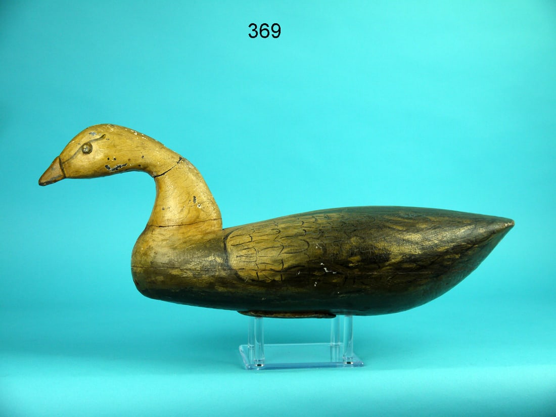 BLUE GOOSE, NEW JERSEY (1 of 4)