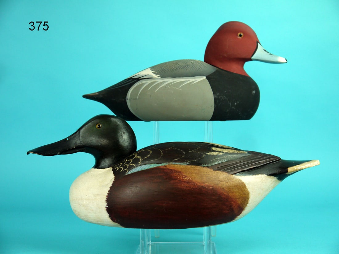 SHOVELER DRAKE/REDHEAD DRAKE (1 of 4)