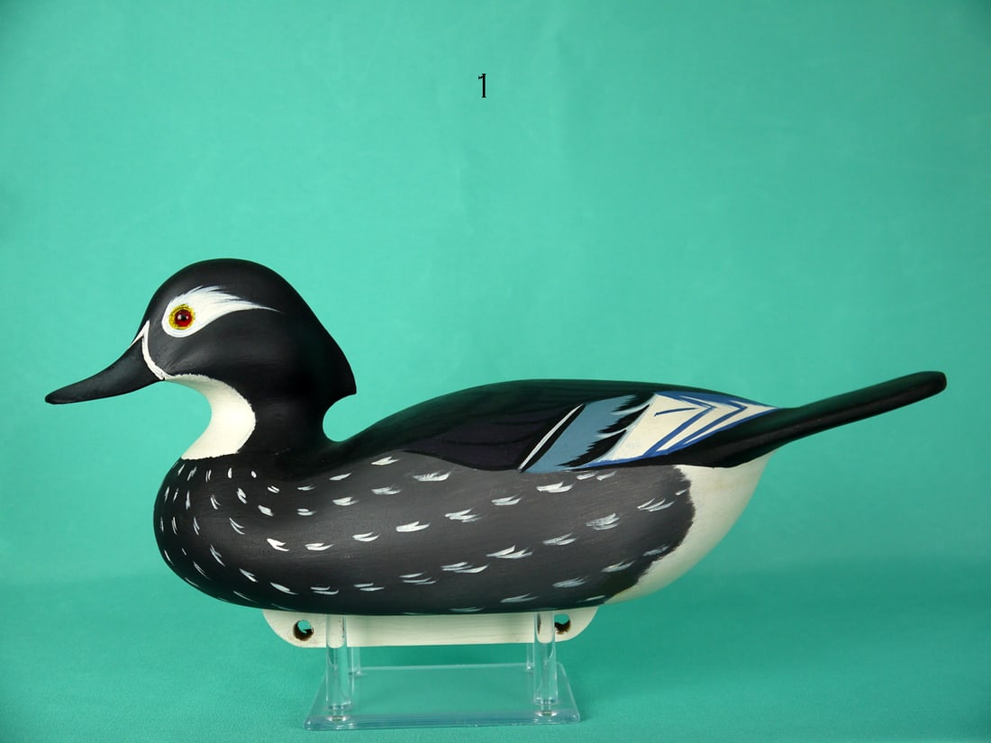 WOOD DUCK HEN, C. ALLSOPP (1 of 4)