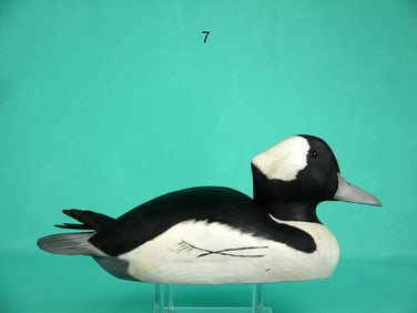 BUFFLEHEAD DRAKE, J. CARPER