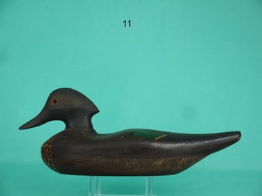 GREEN WING TEAL DRAKE, E. HENDRICKS