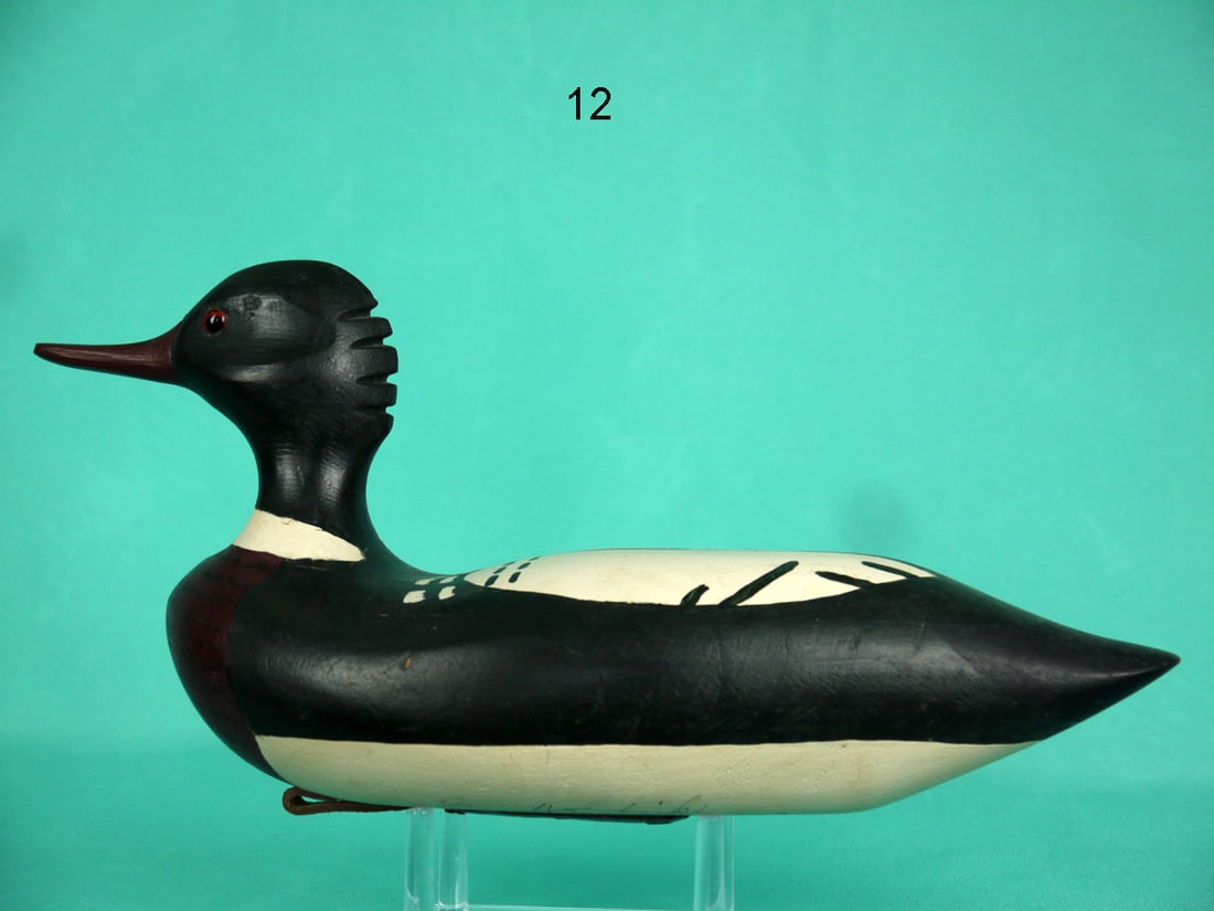 RED-BREASTED MERGANSER DRAKE, E. HENDRICKS (1 of 4)