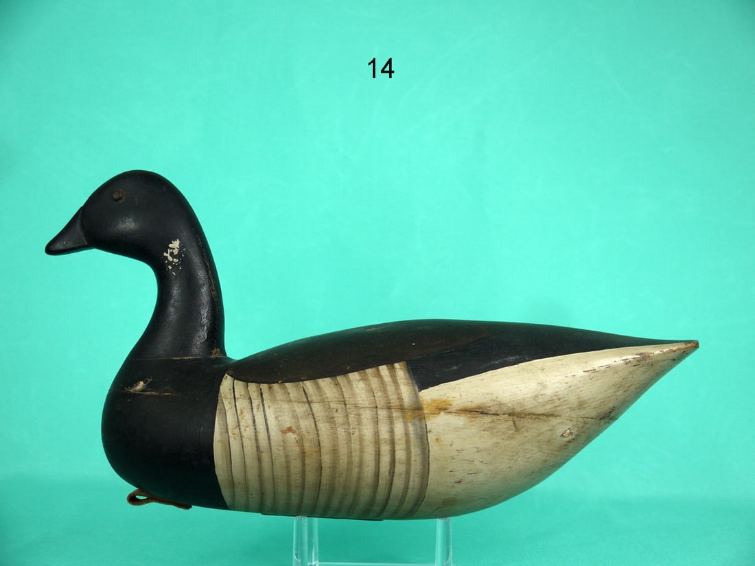 BRANT, SHOURDS STYLE (1 of 4)