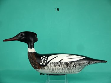 RED-BREASTED MERGANSER DRAKE, R. THIEDE