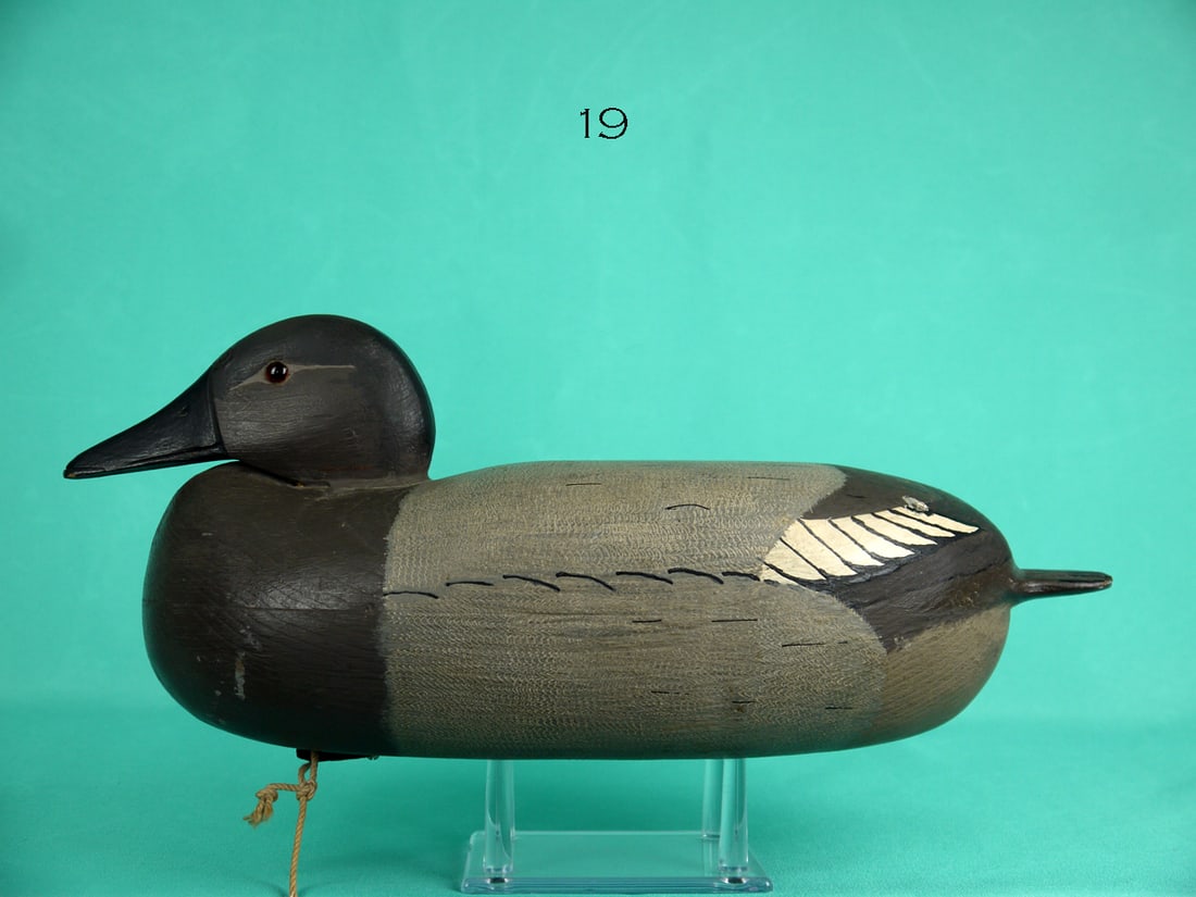 CANVASBACK HEN, J. BAKER (1 of 4)