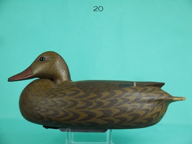 MALLARD HEN, J. BAKER
