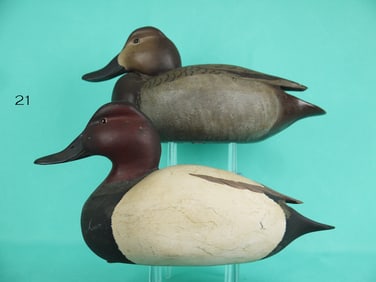 CANVASBACK PAIR, R. BLACK