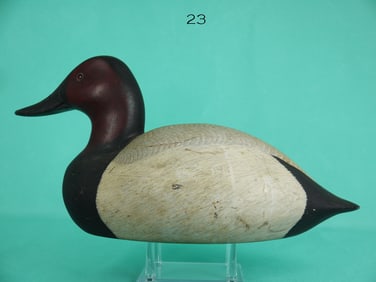 CANVASBACK DRAKE, R. BLACK