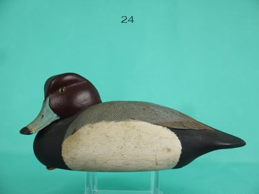 REDHEAD DRAKE, R. BLACK