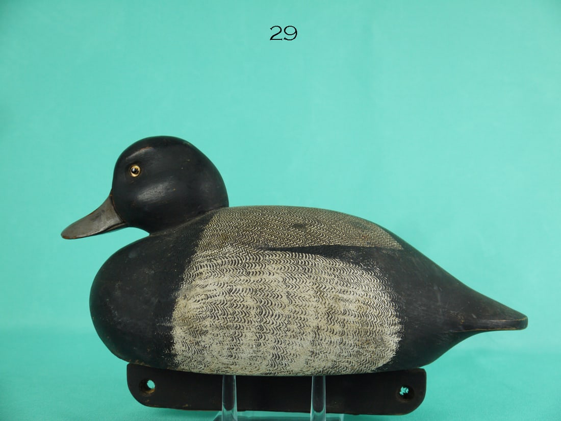 BLUEBILL DRAKE, J. CHOBRDA (1 of 4)