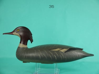 RED-BREASTED MERGANSER HEN, R. LIBENSPERGER