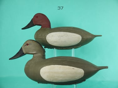 CANVASBACK PAIR, C.R. MARTER, SR.
