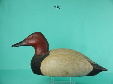 CANVASBACK DRAKE, G. WALKER