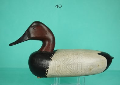 CANVASBACK DRAKE, J.C. WEST
