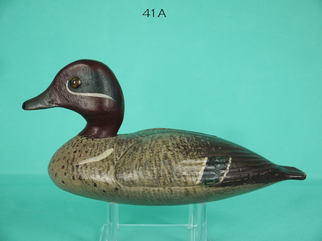 GREEN WING TEAL DRAKE, DELAWARE RIVER (1 of 4)