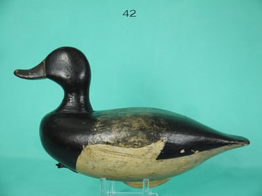 BLUEBILL DRAKE, UPPER SUSQUEHANNA RIVER