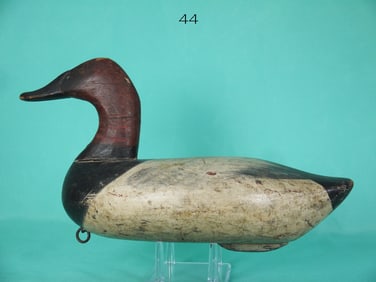 CANVASBACK DRAKE, J. CURRIER